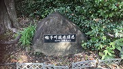 帷子川親水緑道